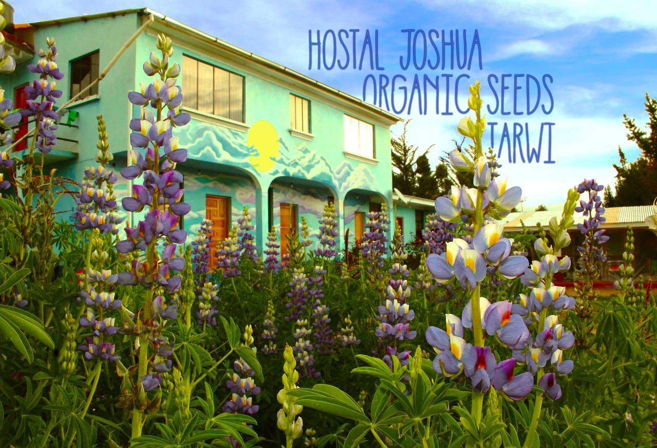 קופקבאנה Hostal Joshua מראה חיצוני תמונה